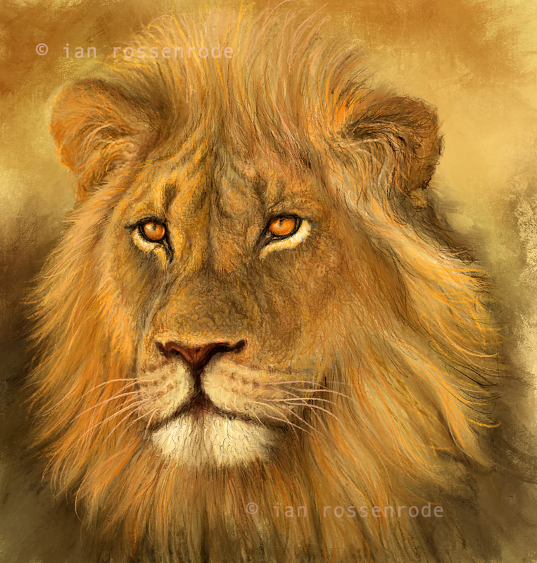 iPad illustration of a lion